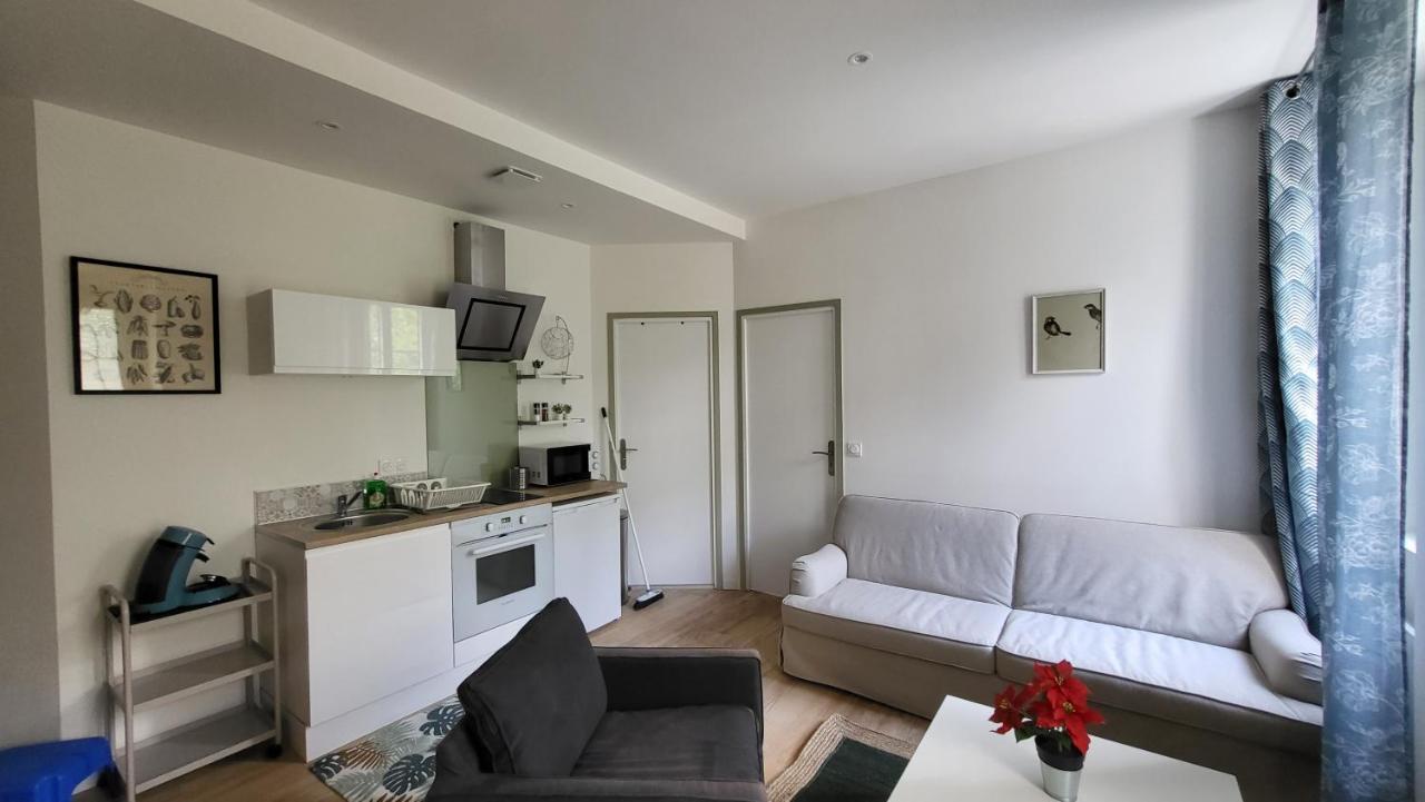 Charmant 2 Pieces Avec Terrasse Proche Centre Ville - Parking Gratuit A Proximite Λούρδη Εξωτερικό φωτογραφία